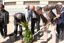 گزارش تصویری مراسم روز درخت کاری در دانشگاه  با حضور ورزشکاران ملی پوش شهرستان شاهرود  